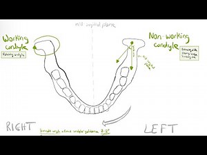 Bennett movement and angle