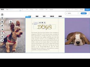 Create Dynamic Pages and Wix Database