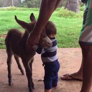 2.7M views · 24K reactions | Let me tell you about my best friend   | Ma Baby Love | Facebook