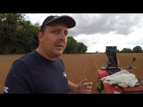 Effaroucheurs à pigeons... - 2021