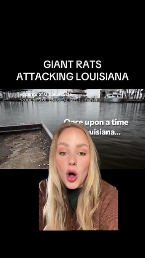 Giant Rats Invading Louisiana: A Documentary Insight