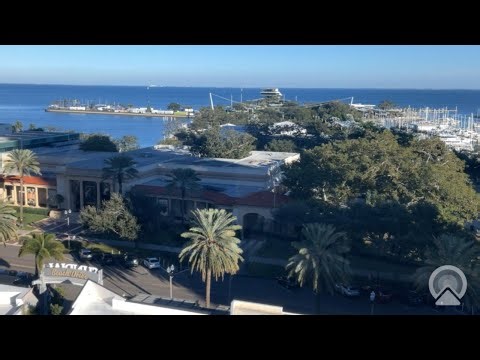 Gulfcoast Ultrasound Institute - Downtown St. Pete Pier Cam