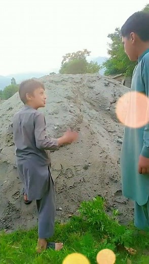 tuti Gull official vines