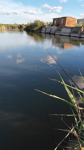 #fishing | Fishing Live