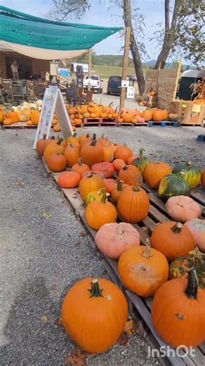 Selling Pumpkins At Darnell Farms In October 2025 Music Added