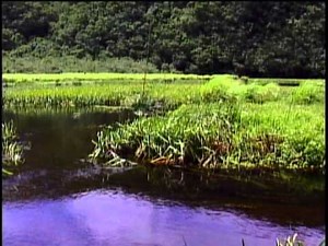 大地明鏡 台灣的湖泊世界