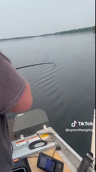 Awesome Trout Catch in Minnesota's BWCA