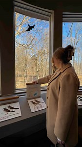 Bird nerds, this one’s for you! Henderson’s birding hotspots are a must-visit, with deep ties to John James Audubon himself. Check out:John James Audubon State ParkSloughs Wildlife Management AreaAudubon Wetlands TrailCome see why birders flock here!#hendersonky #birdnerds #birdinginkentucky #visitky | Henderson Tourist Commission
