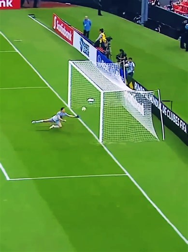 Top Goalkeepers in Football: Skills and Highlights