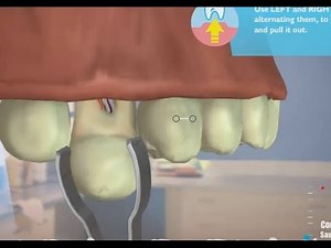 GLEMM MARTIN.DDS - DENTAL ADVENTURE DENTAL SURGERY 7