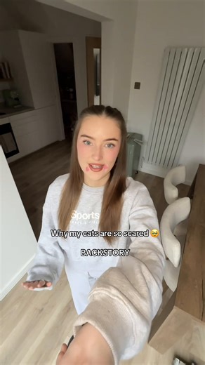 Understanding Why My Cats Are Scared