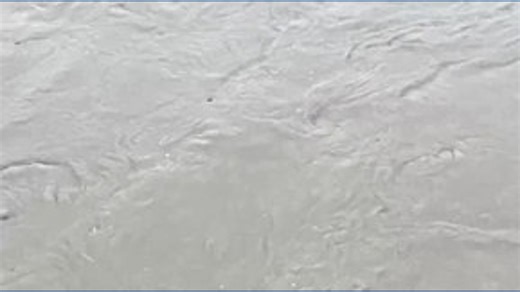 Skagit River rises in downtown Mount Vernon