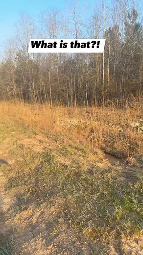 Crazy to think Digging for Antique bottles would land you on a Nationally broadcasted TV show! #tv #history #antique | Adventure Archaeology And Southern Diggers