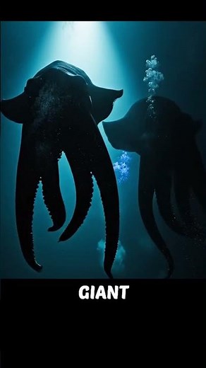 The Bloop: The Deep-Sea Sound That Was Finally Explained #bloop #ocean #science #mystery