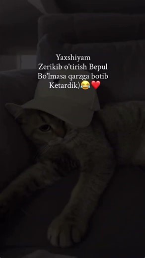 Toʻgʻrmi?? 🤣