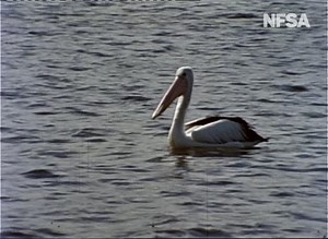 7.2K views · 152 reactions | Let's bounce into 2023 with some of...