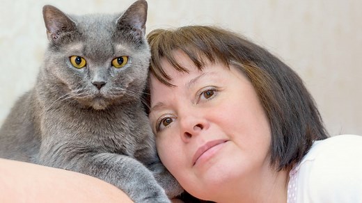 Seniors : voici les races de chat à adopter à partir de 60 ans, selon les experts