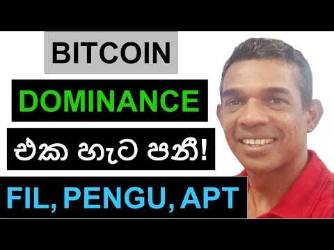 BITCOIN DOMINANCE එක හැට පනී! | FIL, PENGU, ADA, SUI, SOL, SEI, AND APT | ETHEREUM