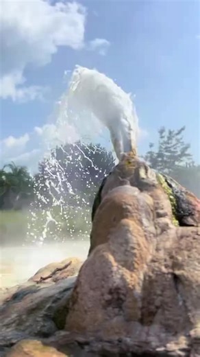 Hot springs in Uganda Natural magic in Semliki National Park Partner with me to offer your clients the 'Pearl of Africa's memorable experience: unparalleled mountain gorilla trekking, diverse wildlife, stunning landscapes like Murchison Falls, and vibrant cultures, all within one incredibly hospitable and increasingly accessible destinations. I provide unforgettable, responsible adventures and genuine cultural immersion, ensuring your clients return home with incredible stories and a desire to t