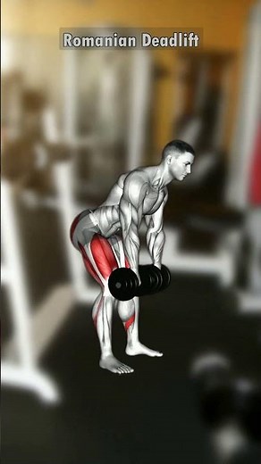 Exploring the Romanian Deadlift: A Solid Hips Exercise