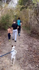 4️⃣ Austin Hikes With Playgrounds 🥾 First day hike ideas! Do you do a hike every year on Jan 1? It’s a fun tradition (that’s FREE!) to do every New Year’s Day. Here are 4 Austin area hikes that also have playgrounds: 1️⃣ Walnut Creek Metropolitan Park, 12138 N Lamar Blvd, Austin 2️⃣ Spicewood Valley Trail/ Mountain View Park, 8900 Westerkirk Dr, Austin 3️⃣ Balcones District Park, 12017 Amherst Dr, Austin 4️⃣ Great Hills Trail, 10700 Floral Park Dr, Austin | Austin Fun For Kids