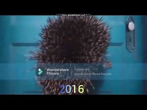 1 Second of Every Illumination Films (2010-2024)