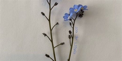 How to make a name for yourself