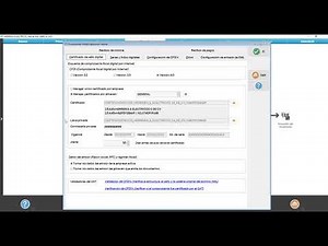 Implementation of the payroll module in ALPHA ERP® (v19)