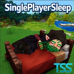 SinglePlayerSleep