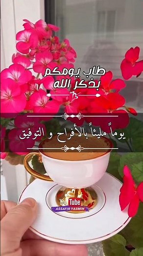Good Morning ☕ Good Evening 🌞 Morning Roses 🌹 Evening Roses 🌹 Morning and Evening Supplications 🌼...
