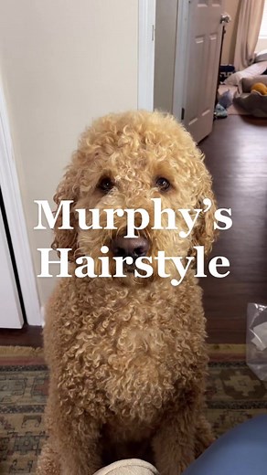 Embree Saxon on TikTok