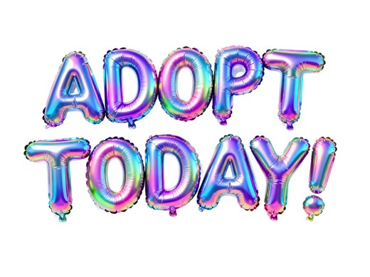 🐾 ADOPT A FRIEND TODAY! 🐾 Stop by the Ouachita Parish Animal Shelter from 10-2 and meet all of the amazing dogs and cats looking for homes! You can see some of the dogs here https://www.facebook.com/share/1ADTXW3kAD/? If you can’t adopt, another way to help is by donating needed supplies from their Amazon list https://www.amazon.com/hz/wishlist/ls/2WFT6TFQEOJSX?ref_=wl_share 📌For more info, contact the shelter at 318-323-4032 or the best option is to go by there at 417 Well Rd, West Monroe, L
