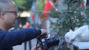 1.1K views · 40 reactions | Wu Hongli quit his well-paid job to become a street cat photographer, whose cat photos have warmed the hearts of numerous people. He captured cute and sweet moments of cats on camera. Every photo is about his story with a cat. #ChinaFace For more: https://english.cctv.com/ | CCTV | Facebook