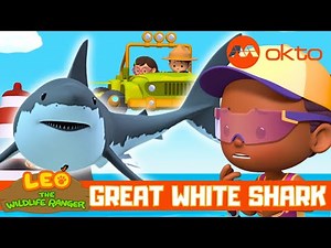 Great White Shark RESCUE 🦈| Leo the Wildlife Ranger Spinoff S7E10 | @mediacorpokto