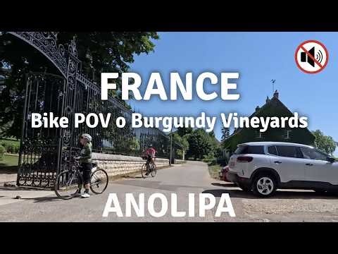Scenic Bike POV in the Vineyards of Aloxe Corton, Nuits-Saint-Georges and Romanée-Conti [No Audio]