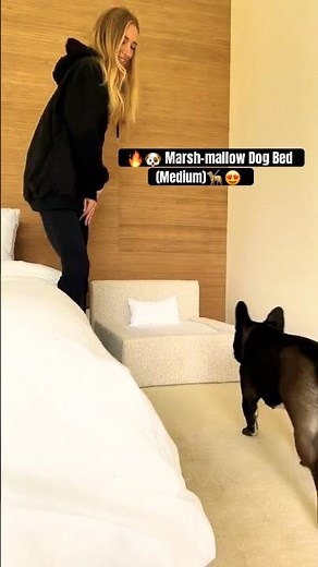 🔥🐶 DIY Dog Bed Making at Home🦮😍Super Comfy DIY Dog Bed in Minutes!🦴❤️💯 #sdney #austrila