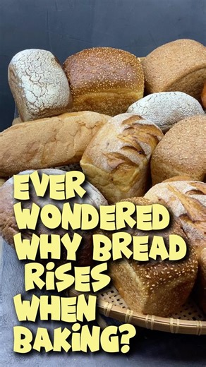 Why Does Bread Rise When Baking? 🍞 The Science in 30 Seconds! #sciencefacts