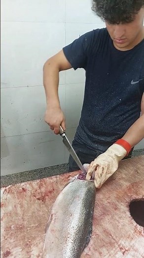 Master the Art of Filleting Salmon – Clean, Cut & Debone