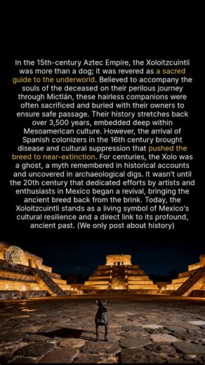 6.1K views · 116 reactions | This ancient dog was the Aztecs sacred guide to the afterlife. #history #ancienthistory #archaeology | Make Known | Facebook