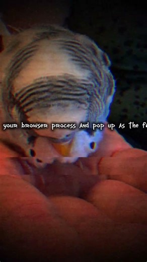💀 "your browser process and pop up as the fire"💀