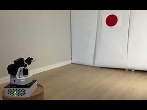 Radio Controlled Airsoft Sentry Turret