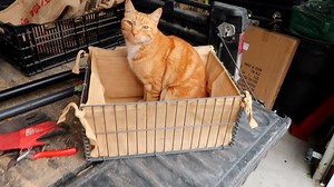 156K views · 214 shares | Root Cellar Update & Root Crop Storage...