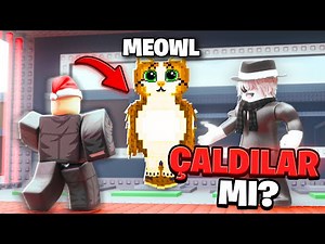 TAKİPÇİLERİME OG BRAINROT GÜVENDİM! - Steal a Brainrot Türkçe