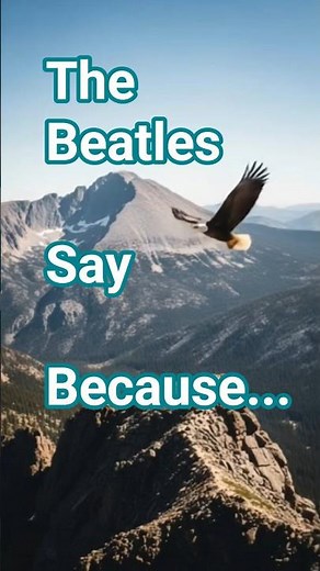The Beatles sing "Because" as a bald eagle flies thru Rocky Mountains #because #beatles #thebeatles