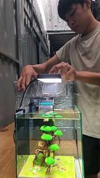 Tiểu Cảnh Cho Hồ Cá Mini #Zeroshock #Skyguppy