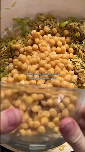 🌱 ONE PAN PROTEIN - MISO MUSHROOM & SILKEN TOFU ORZOTTO 🍄