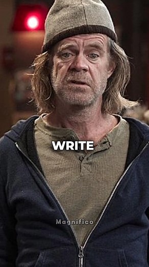 Small Dogs Are CRAZY  | Magnifico | Facebook