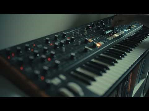 Moog Muse - sequencer, probability, and modulation for self-running, evolving pads - no talking