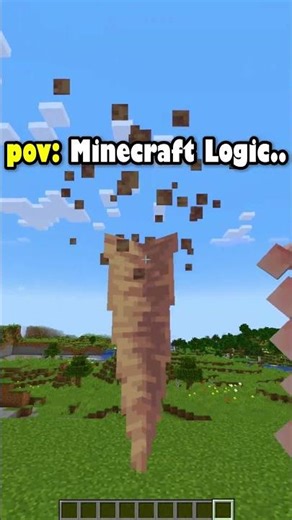 Minecraft pov: Minecraft Logic.. #minecraft #shorts