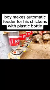 DIY Automatic Chicken Feeder with Plastic Bottles